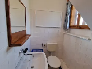 Prodej rodinného domu, Trhová Kamenice, Mlýnská, 180 m2