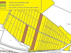 Prodej lesa, Kámen, 20509 m2