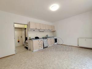 Pronájem bytu 1+kk, České Budějovice, Riegrova, 25 m2