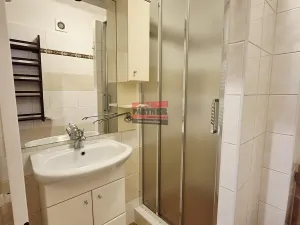 Pronájem bytu 1+1, Sezimovo Ústí, Lipová, 32 m2