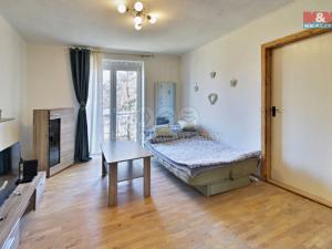 Pronájem bytu 2+1, Bílina - Teplické Předměstí, Sídliště SHD, 48 m2