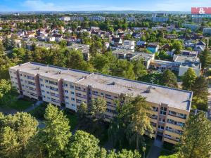 Pronájem bytu 3+kk, Pardubice - Studánka, Blahoutova, 75 m2