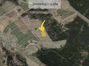 Prodej louky, Pustá Kamenice, 13175 m2