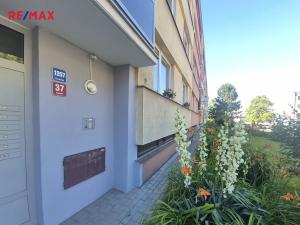 Prodej bytu 1+1, Moravská Třebová, Západní, 35 m2