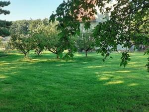 Pronájem rodinného domu, Kostelec nad Černými lesy, 260 m2