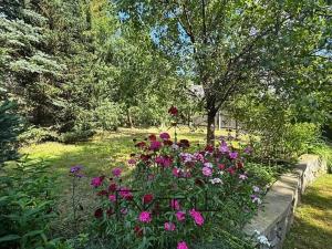Prodej chalupy, Oskava, 114 m2
