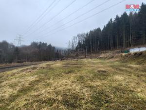 Prodej pozemku, Sokolov - Vítkov, 775 m2