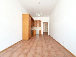 Pronájem bytu 2+kk, Praha - Vinohrady, Blanická, 55 m2