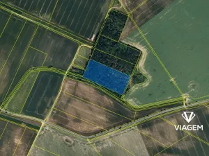 Prodej podílu lesa, Štítary, 3941 m2