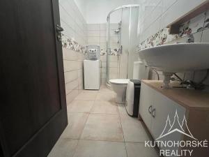 Pronájem bytu 1+kk, Kutná Hora, 80 m2