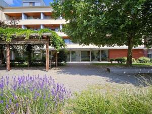 Prodej bytu 3+kk, Písek, Čechova, 117 m2