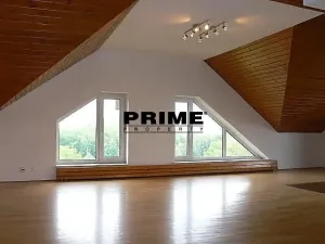 Pronájem bytu 6+kk a větší, Praha - Braník, Psohlavců, 293 m2