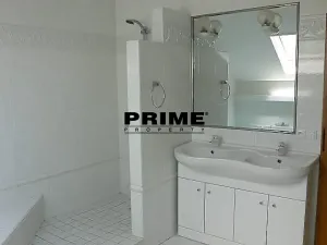 Pronájem bytu 6+kk a větší, Praha - Braník, Psohlavců, 293 m2