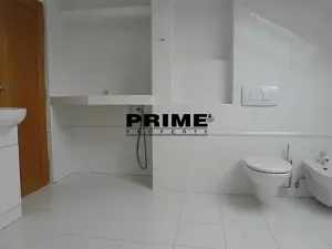 Pronájem bytu 6+kk a větší, Praha - Braník, Psohlavců, 293 m2