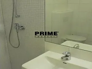 Pronájem bytu 6+kk a větší, Praha - Braník, Psohlavců, 293 m2