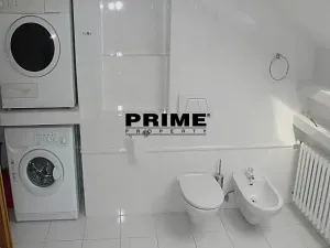 Pronájem bytu 6+kk a větší, Praha - Braník, Psohlavců, 293 m2