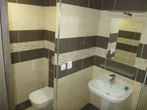 Pronájem bytu 1+kk, Hradec Králové, Jungmannova, 30 m2
