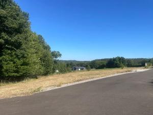Prodej pozemku pro bydlení, Buš, 1284 m2