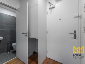 Pronájem bytu 1+kk, Praha - Vinohrady, Perucká, 27 m2