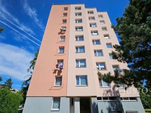 Prodej bytu 1+kk, Písek, třída Přátelství, 26 m2