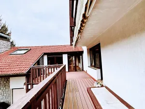 Prodej vily, Český Šternberk, 962 m2