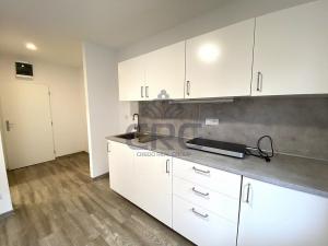 Pronájem bytu 1+kk, Brno - Maloměřice, 17 m2