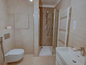 Pronájem bytu 1+kk, Brno, Hybešova, 46 m2