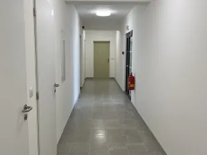 Pronájem bytu 1+kk, Brno, Hybešova, 46 m2