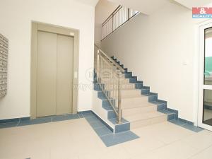 Pronájem kanceláře, Opava - Předměstí, Těšínská, 30 m2