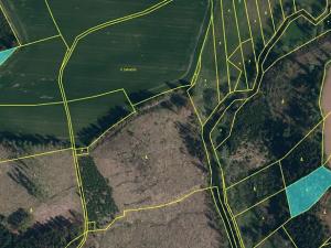 Prodej podílu lesa, Krásněves, 7152 m2