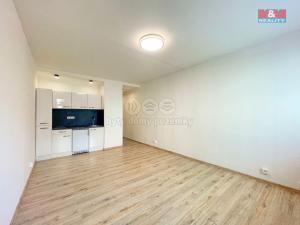 Pronájem bytu 1+kk, Ostrava - Moravská Ostrava, U Parku, 26 m2