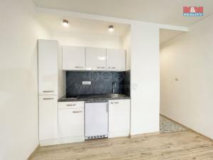 Pronájem bytu 1+kk, Ostrava - Moravská Ostrava, U Parku, 26 m2