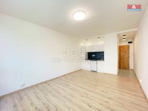 Pronájem bytu 1+kk, Ostrava - Moravská Ostrava, U Parku, 26 m2