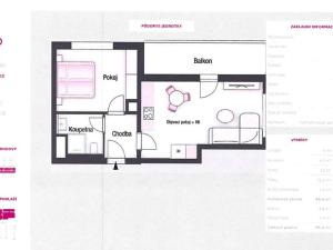 Prodej bytu 2+kk, Praha - Vinohrady, Perucká, 54 m2