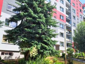 Prodej bytu 1+1, Česká Lípa, Brněnská, 41 m2