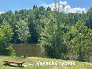 Pronájem rodinného domu, Liberec - Liberec XXX-Vratislavice nad Nisou, Krajová, 150 m2