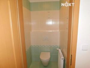 Pronájem bytu 1+kk, Černý Důl, 19 m2