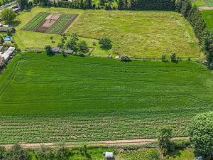 Prodej pozemku pro bydlení, Chodouň, 6761 m2
