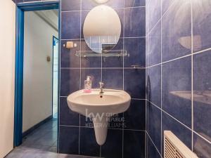 Prodej obchodního prostoru, Rataje nad Sázavou, 100 m2