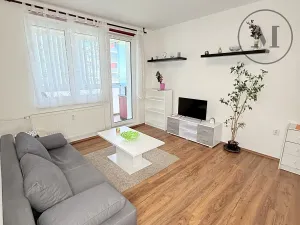 Pronájem bytu 2+kk, České Budějovice, Dlouhá, 40 m2