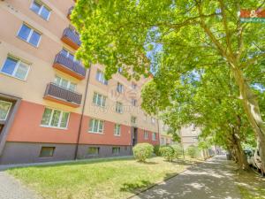 Pronájem bytu 1+kk, Plzeň - Jižní Předměstí, Čechova, 21 m2