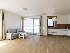 Pronájem bytu 2+kk, Praha - Karlín, Nekvasilova, 67 m2