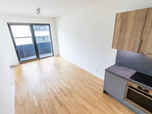Prodej bytu 1+kk, Praha - Žižkov, U Viktorie, 67 m2