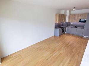 Prodej bytu 1+kk, Praha - Žižkov, U Viktorie, 67 m2