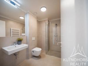 Pronájem bytu 1+kk, Kutná Hora, Hloušecká, 24 m2