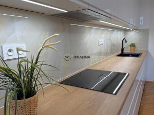 Pronájem bytu 4+kk, Praha - Vinohrady, Slezská, 122 m2