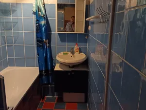 Prodej bytu 2+1, Karlovy Vary, Krymská, 54 m2