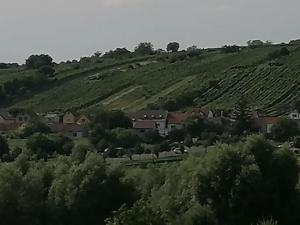 Prodej pozemku pro bydlení, Bořetice, 1163 m2