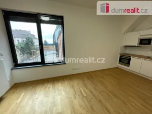 Pronájem bytu 1+kk, Praha - Břevnov, Bělohorská, 30 m2