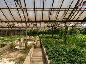 Prodej obchodního prostoru, Ostrava, Škrobálkova, 1274 m2